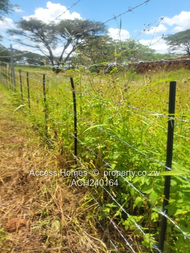 Glen Forest Plot 