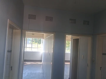 Flat & Apartment