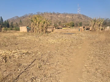 Farm & Agricultural Land