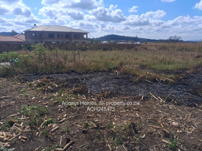 Crowhill Views Stand for sale