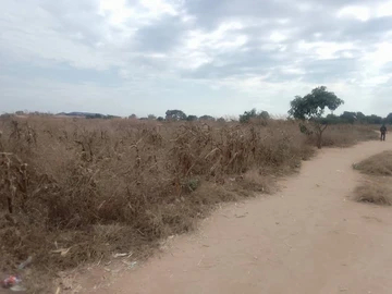 Chitungwiza Zengeza 5  School Stand for Sale