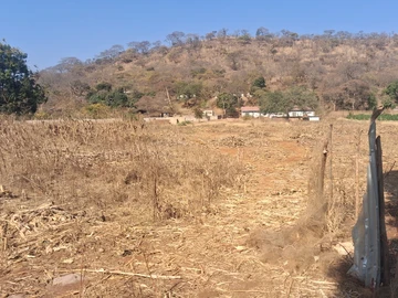 Farm & Agricultural Land