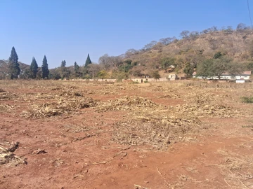 Farm & Agricultural Land