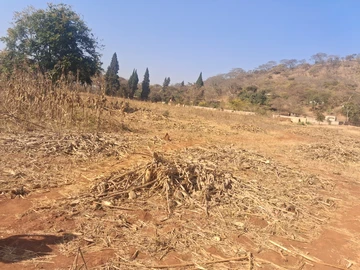 Farm & Agricultural Land
