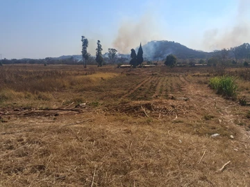 Farm & Agricultural Land