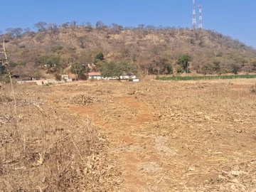 Farm & Agricultural Land