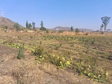 Farm & Agricultural Land
