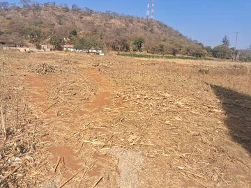 Farm & Agricultural Land
