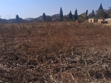 Farm & Agricultural Land