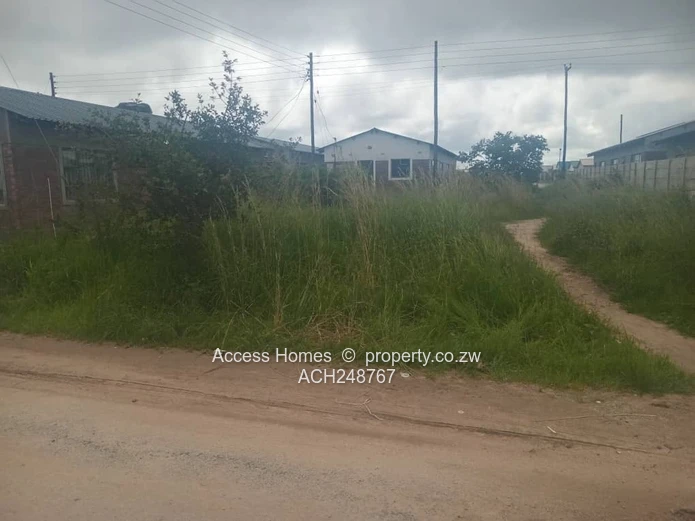 Nehosho Gweru Stand for Sale