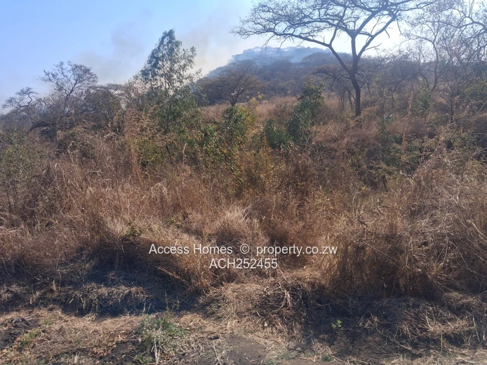 Agro residential plot Whitecliff  (Sole Mandate)