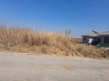 Stands & Residential Land